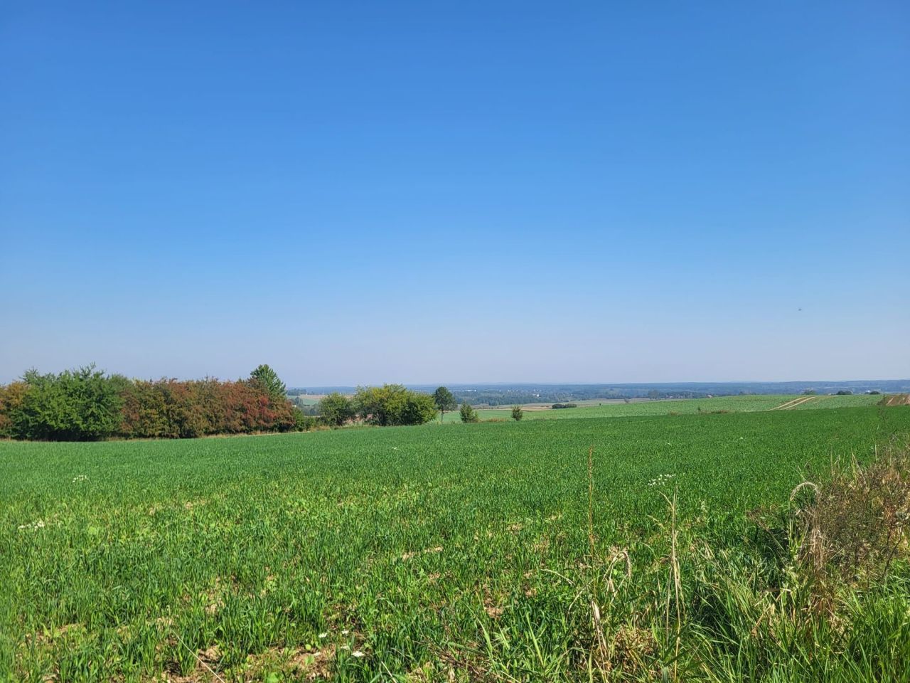 Działka rolno-budowlana Głotowo