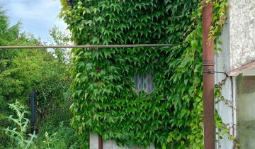 Działka rod Książ Wielkopolski