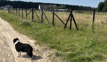 Działka budowlana Liszkowice