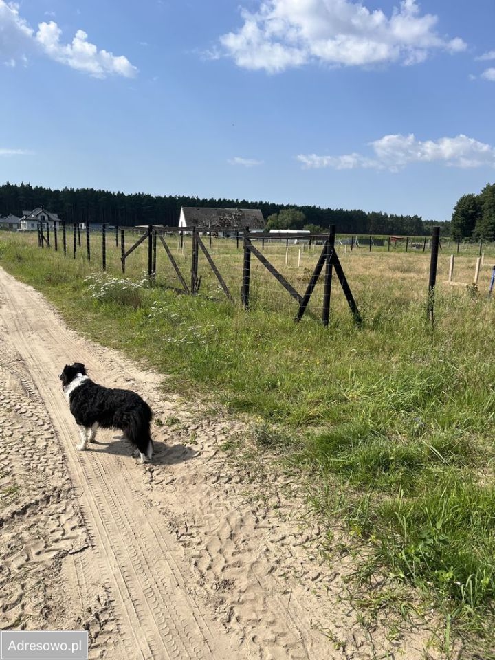 Działka budowlana Liszkowice. Zdjęcie 2