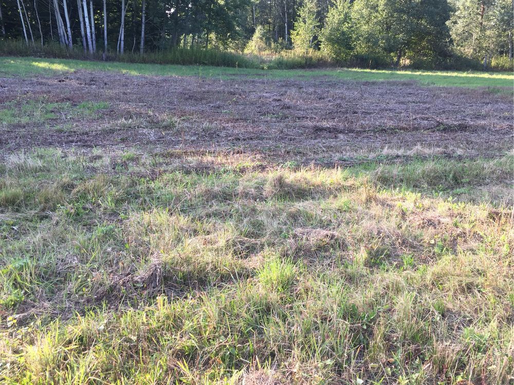 Działka na sprzedaż bez pośredników 
 
 Sierzchów - Widok 3