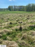 Działka rolno-budowlana Bądzów. Zdjęcie 2