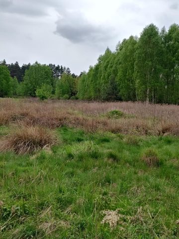 Działka rolna Bratkowice Czekaj. Zdjęcie 1