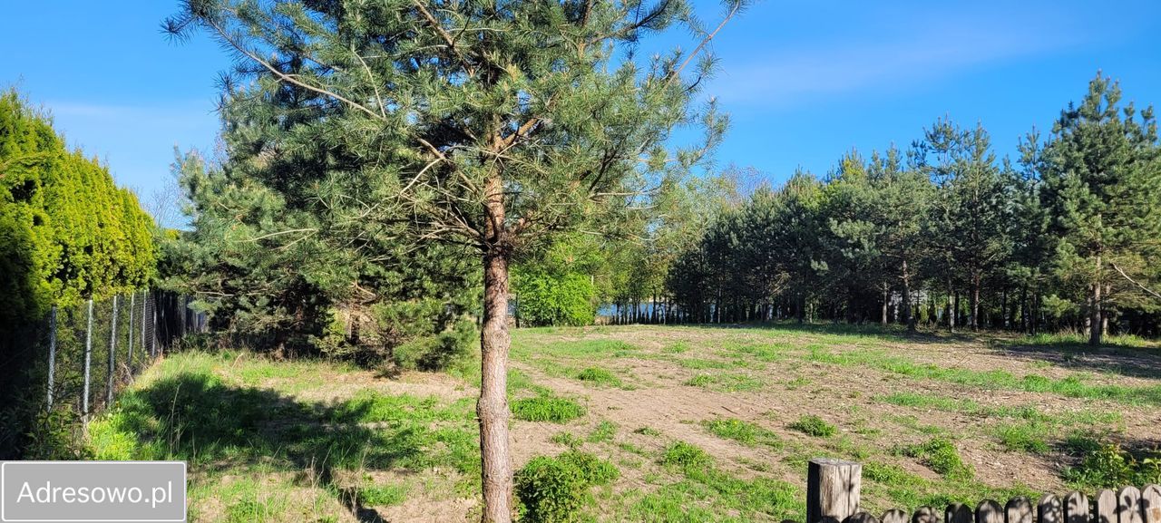 Działka rolno-budowlana Góry Lubiańskie. Zdjęcie 9