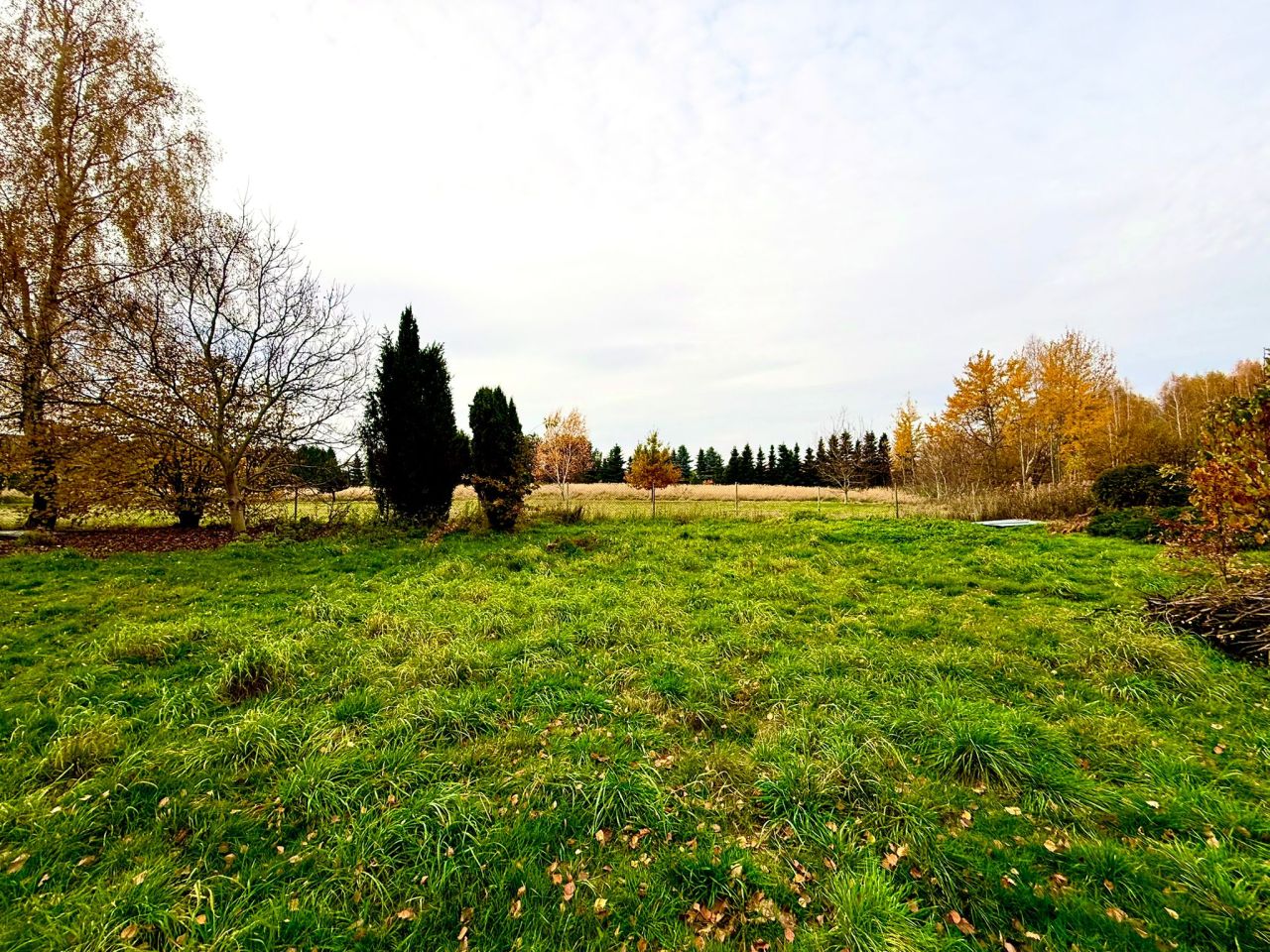 Działka budowlana Rybnik Zebrzydowice, ul. Krzywa. Zdjęcie 4