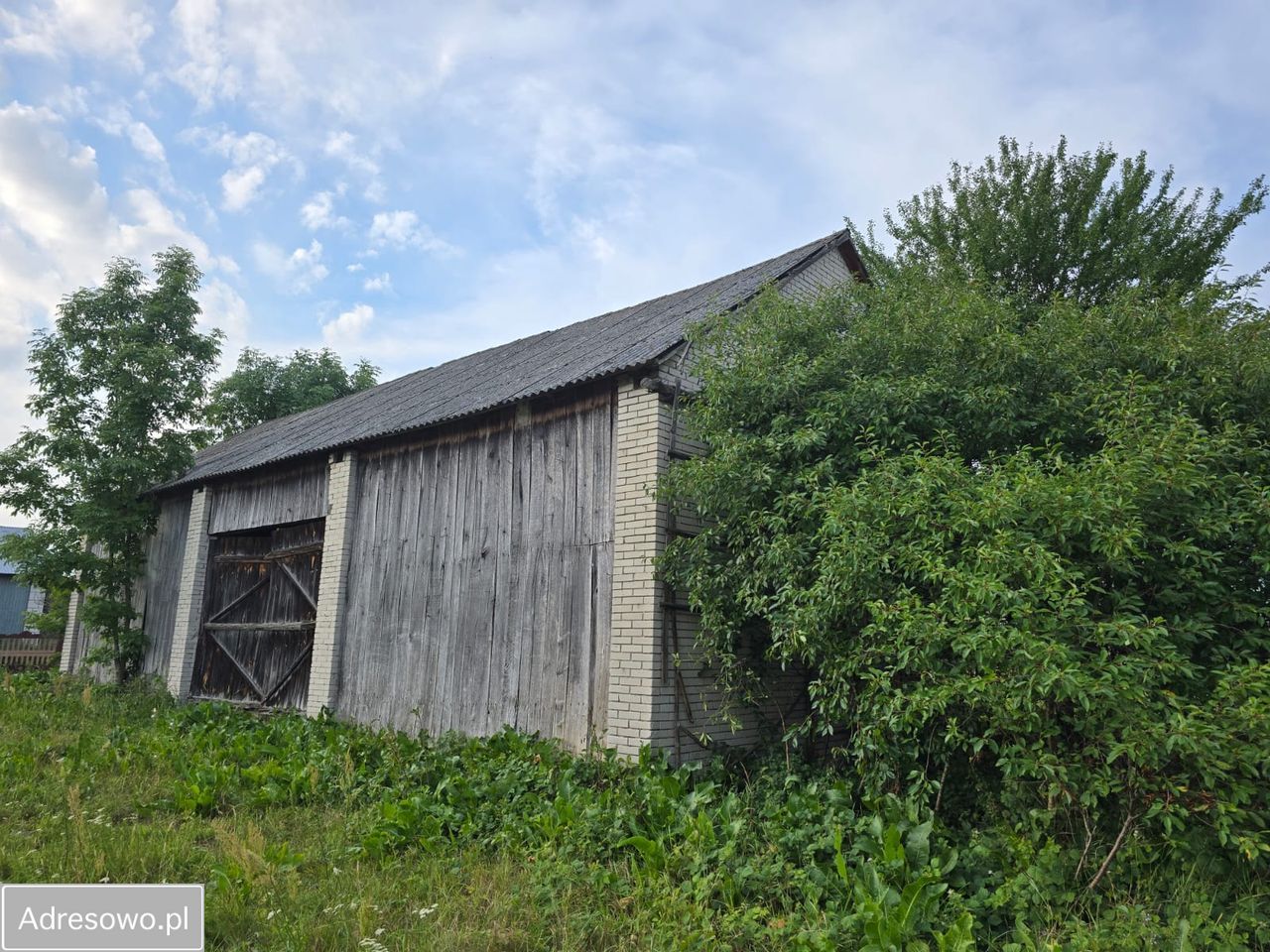 Działka rolna Wola Brudnowska. Zdjęcie 4