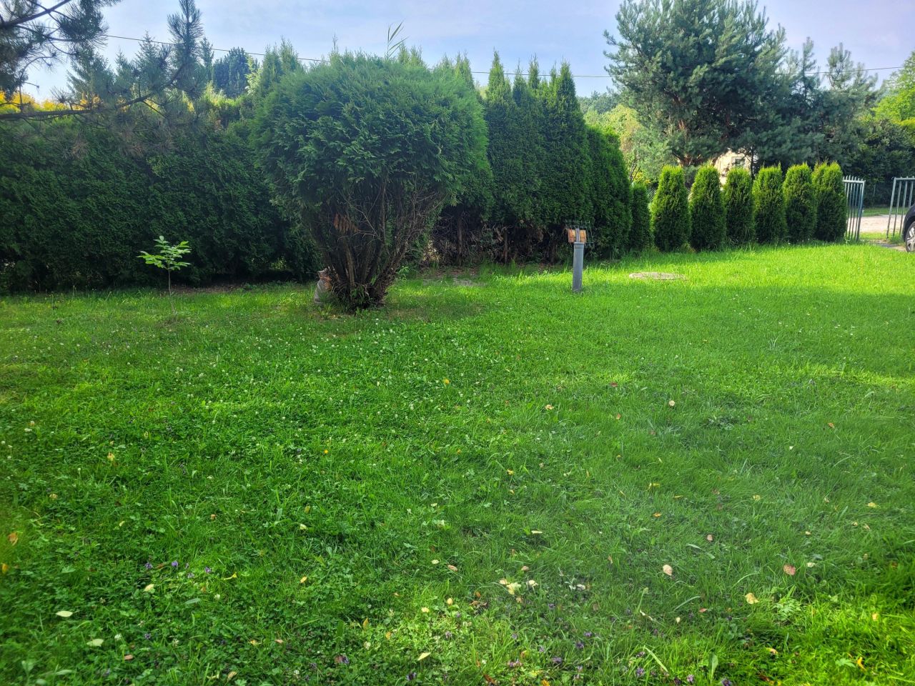 Działka rod Tenczynek Skałki, ul. Na Skałki. Zdjęcie 7