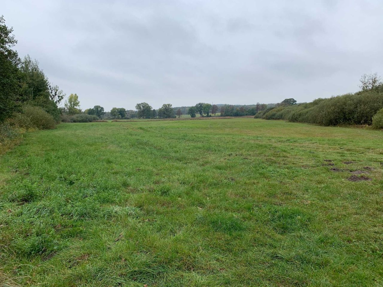 Działka rolna Smerzyn. Zdjęcie 5