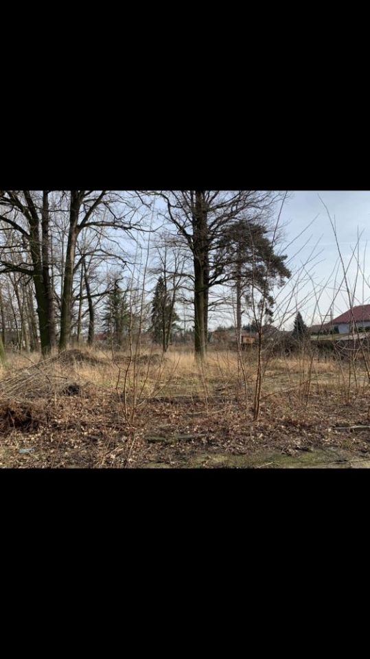 dom wolnostojący Borów. Zdjęcie 2