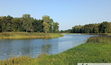 Działka siedliskowa Osuchów