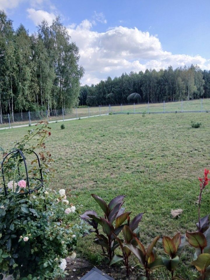 Działka budowlana Niwiski. Zdjęcie 6