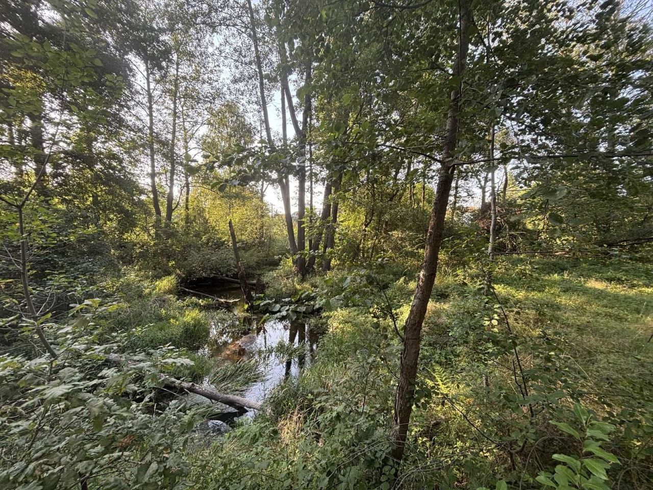 Działka budowlana Rudnik Wielki, ul. Nowa. Zdjęcie 2