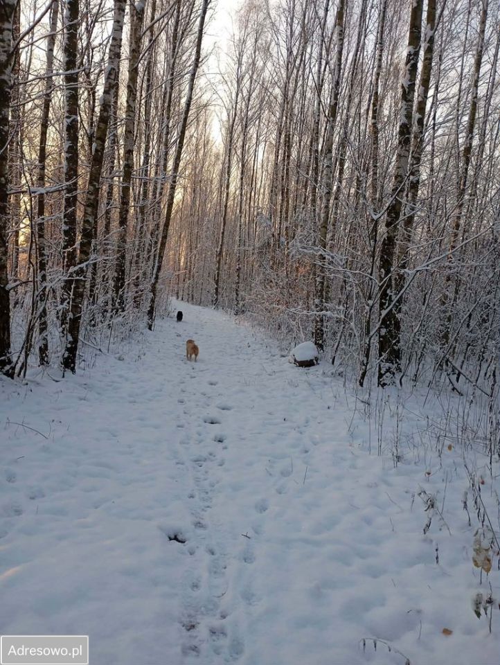 dom wolnostojący, 5 pokoi Stoczek. Zdjęcie 11