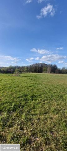 Działka rolno-budowlana Zgrzebichy. Zdjęcie 1