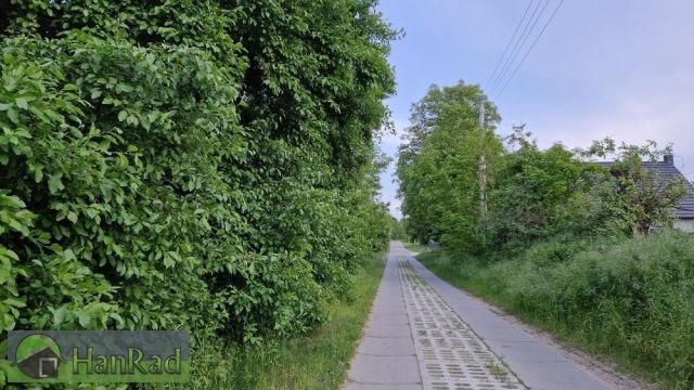 Działka budowlana Sarbia. Zdjęcie 4