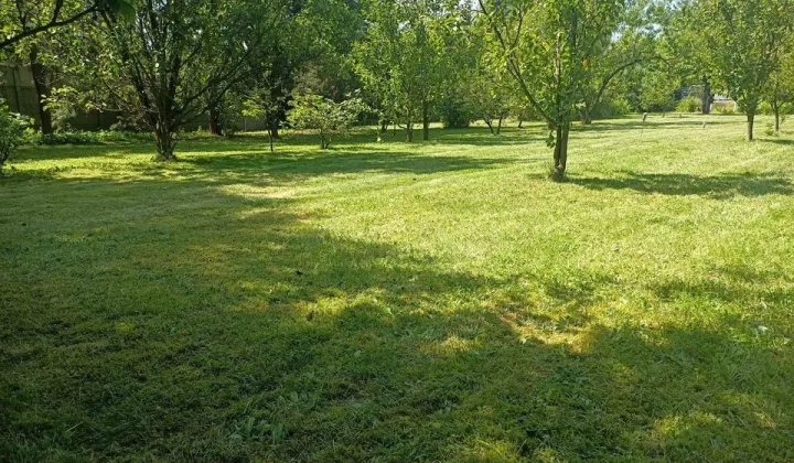 Działka rolno-budowlana Anielin Swędowski, ul. Swędowska