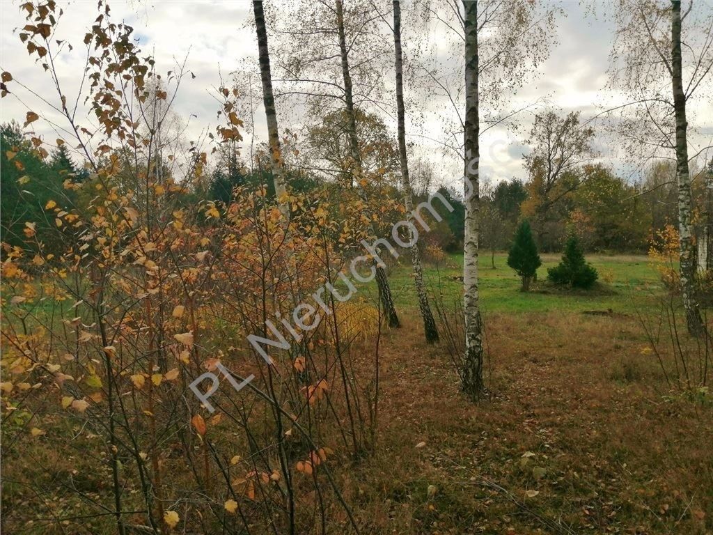 Działka budowlana Nowe Załubice, ul. Kościelna. Zdjęcie 4