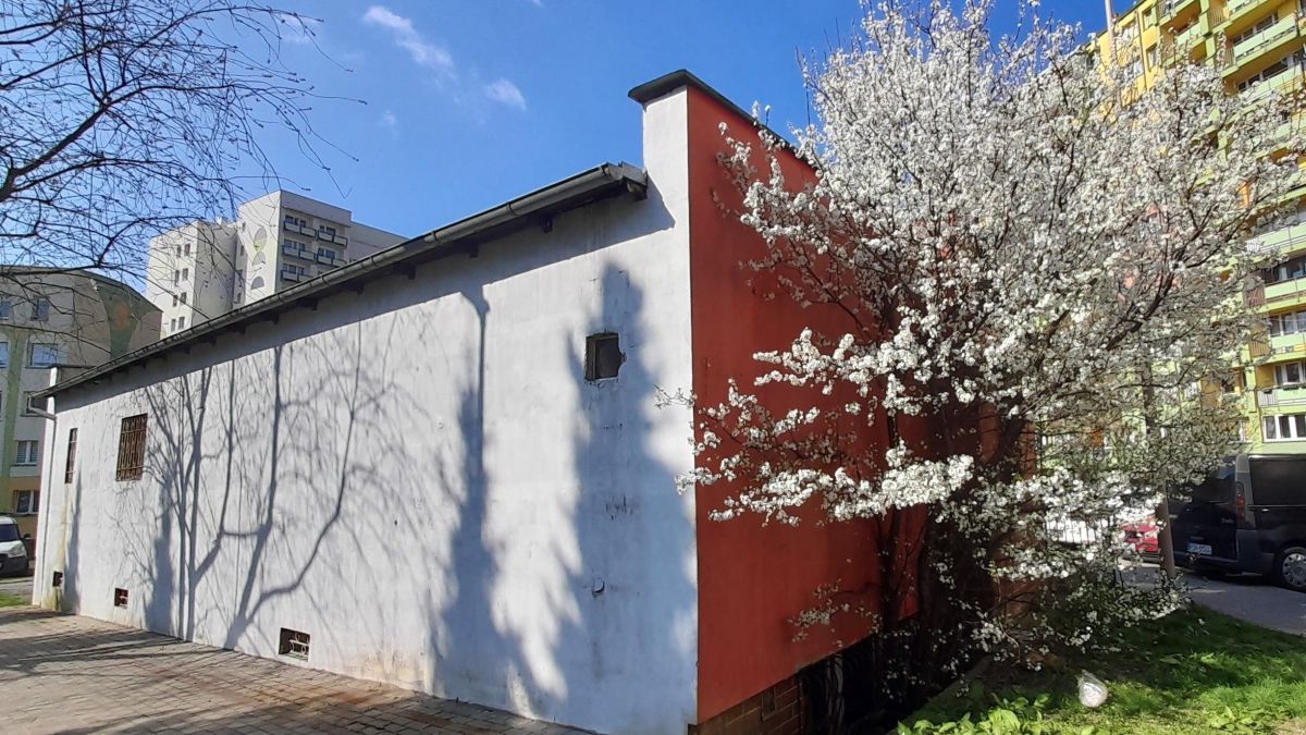 Lokal Lubin. Zdjęcie 4