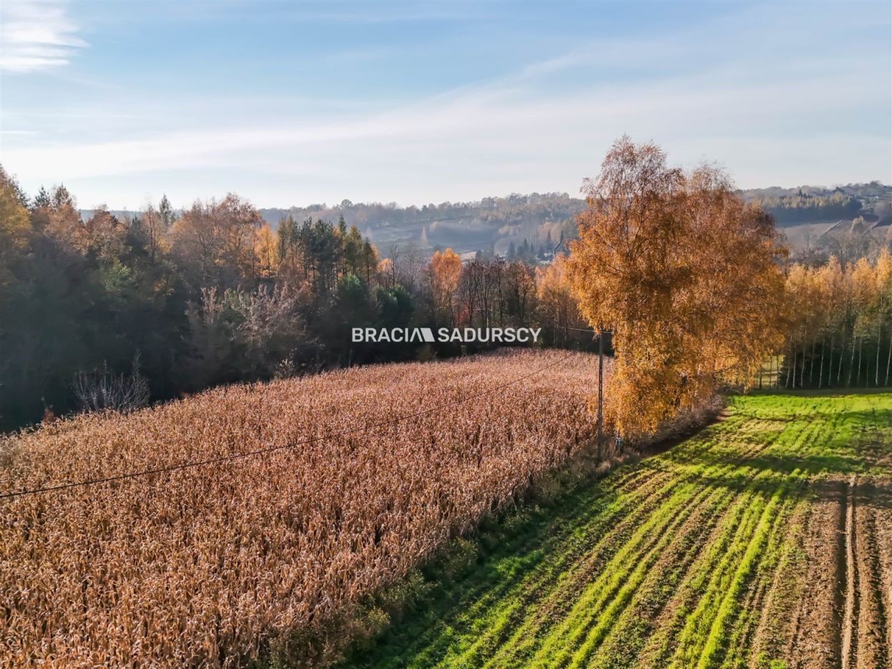 Działka budowlana Przesławice. Zdjęcie 3