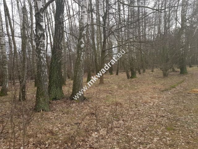 Działka budowlana Kaleń. Zdjęcie 3