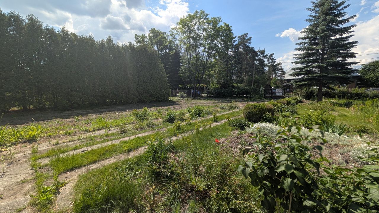 Działka budowlana Pilawa, ul. Leśna. Zdjęcie 15