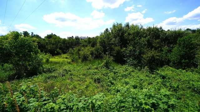 Działka budowlana Gorlice. Zdjęcie 2