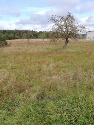 Działka budowlana Wanaty. Zdjęcie 1