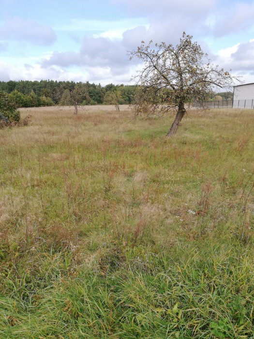 Działka budowlana Wanaty