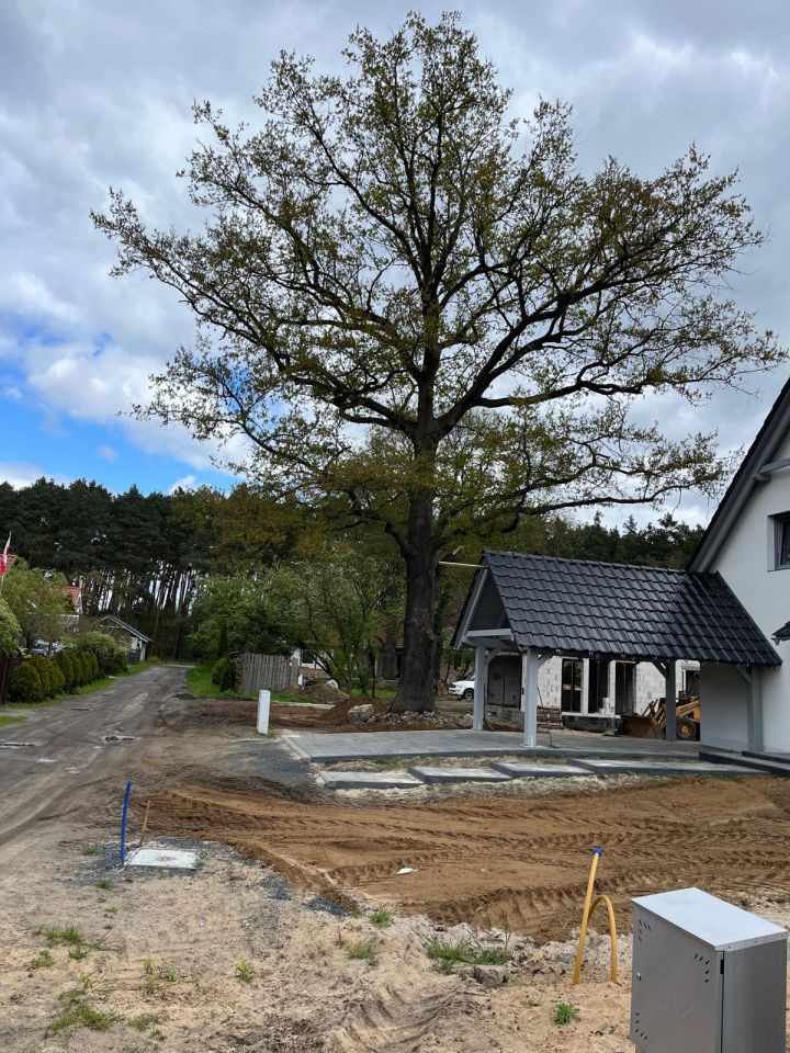 dom wolnostojący, 5 pokoi Książ Śląski. Zdjęcie 14