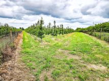 Działka rolna Narty. Zdjęcie 1