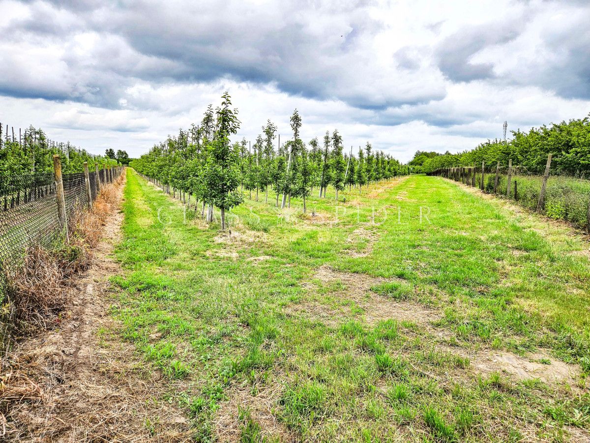 Działka rolna Narty. Zdjęcie 2