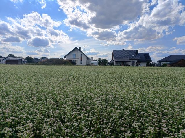 Działka rolno-budowlana Krępiec, ul. Olimpijczyków. Zdjęcie 1