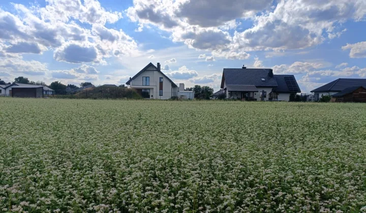 Działka rolno-budowlana Krępiec, ul. Olimpijczyków