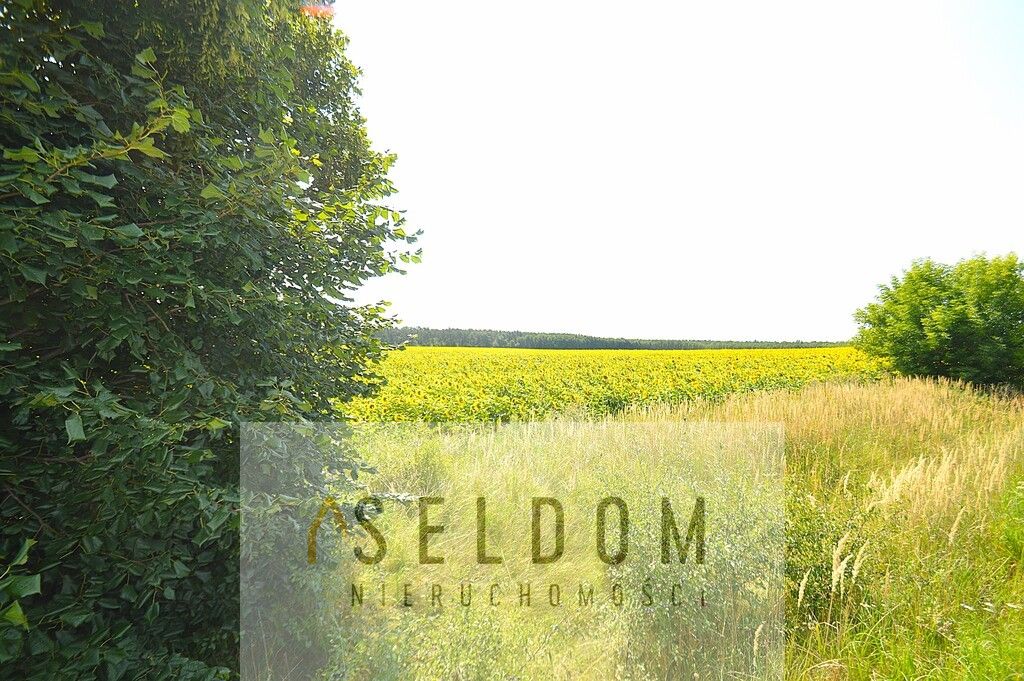 dom wolnostojący, 7 pokoi Domaszowice. Zdjęcie 9