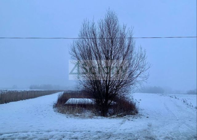 Działka rolna Żukówka. Zdjęcie 2