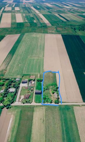 Działka rolno-budowlana Strzałków Kolonia, Strzałków. Zdjęcie 1