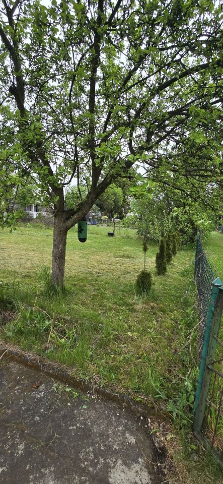 Działka rod Sosnowiec. Zdjęcie 6