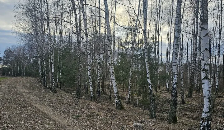 Działka rolna Jarczewo