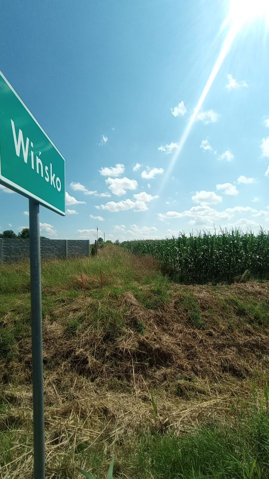 Działka budowlana Wińsko, ul. Wincentego Witosa. Zdjęcie 2