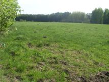 Działka budowlana Gurba, ul. Główna. Zdjęcie 3