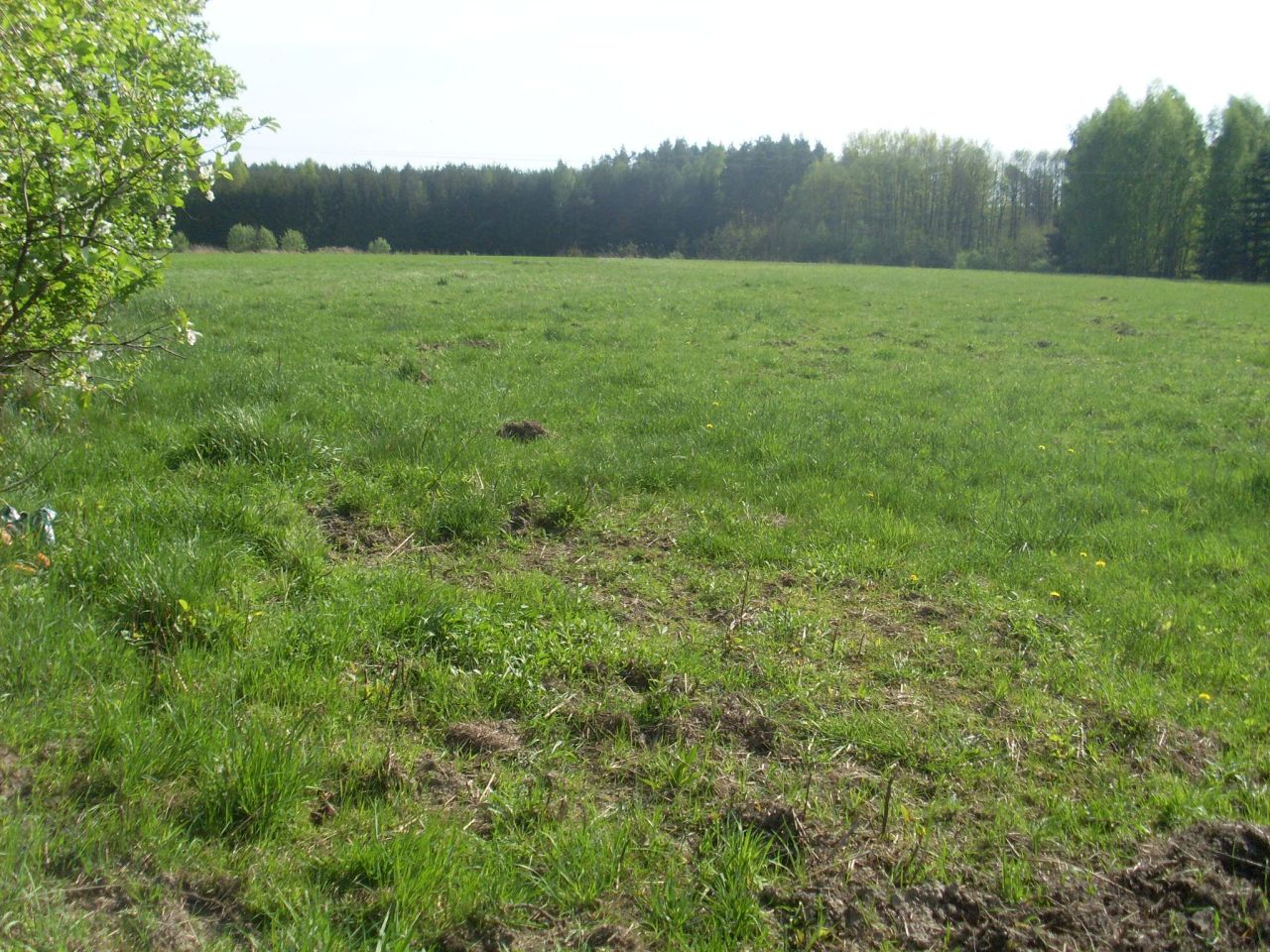 Działka budowlana Gurba, ul. Główna. Zdjęcie 4