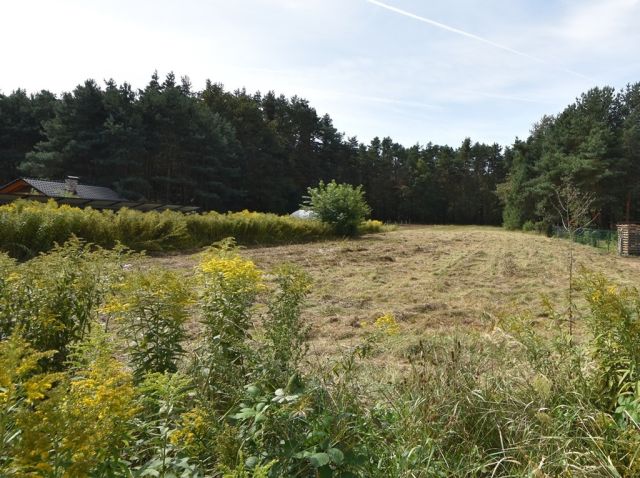 dom wolnostojący, 4 pokoje Szczedrzyk, ul. Daniecka. Zdjęcie 7