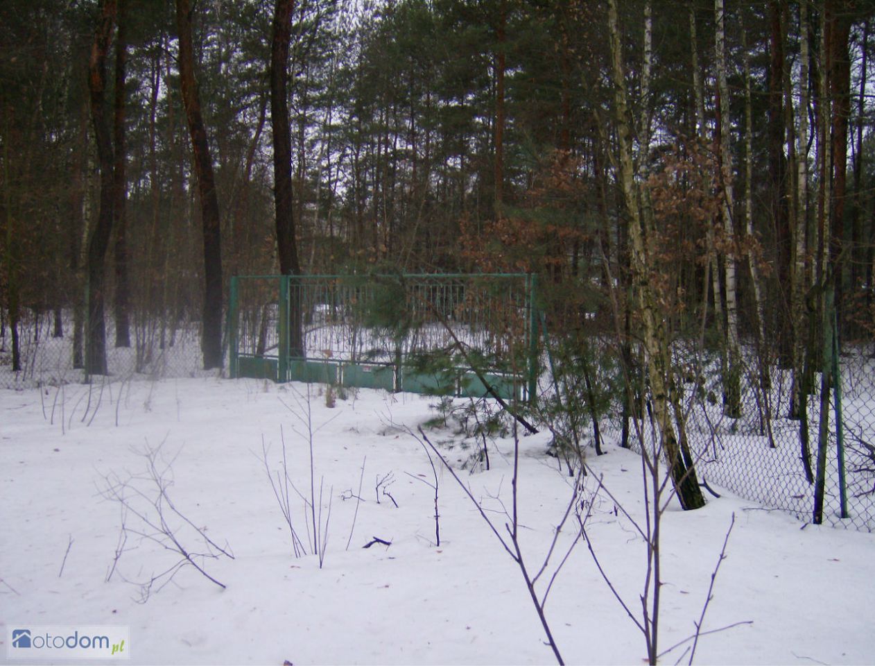 Działka inwestycyjna Adamów-Wieś, ul. Puszczyka. Zdjęcie 2