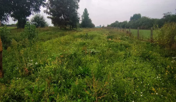 Działka rolno-budowlana Zadąbrów