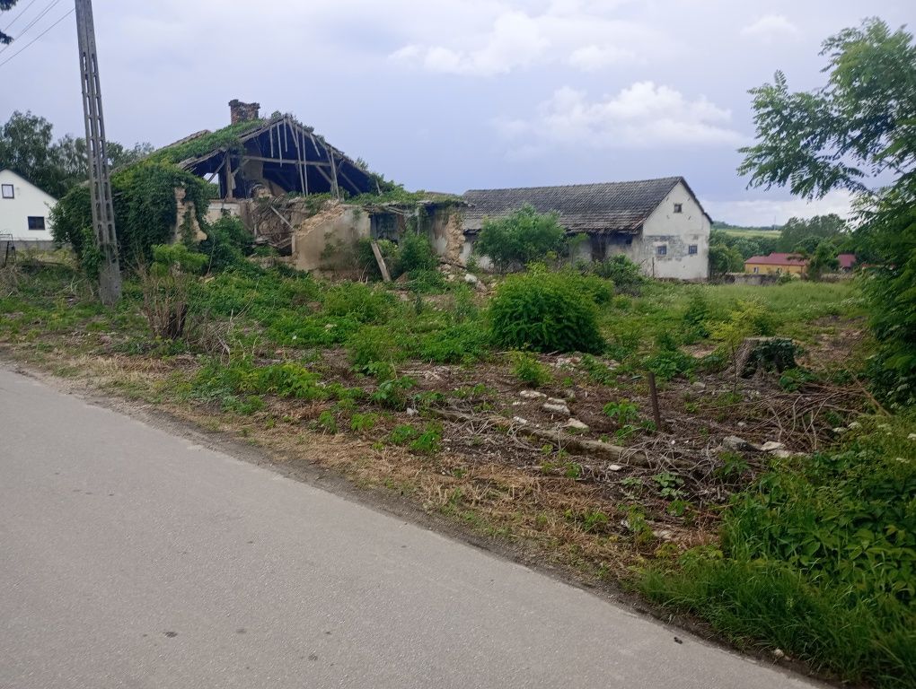 Działka rolno-budowlana Ksawerów. Zdjęcie 6