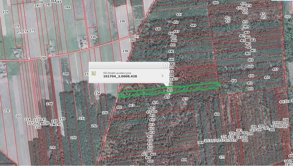 Działka leśna Motyl Żelazna. Zdjęcie 2