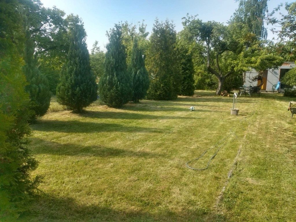 Działka rod Pleszew, ul. Wierzbowa. Zdjęcie 6