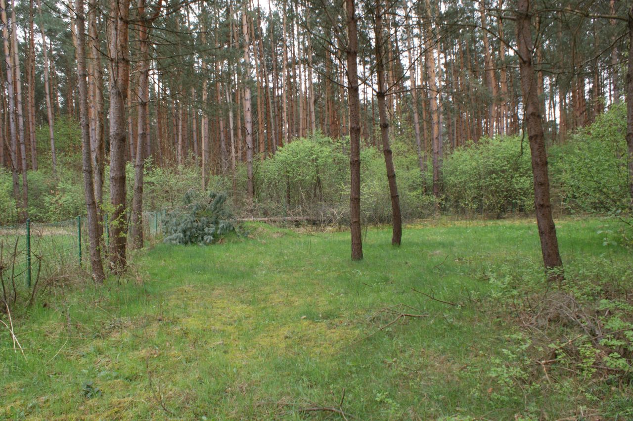 Działka rekreacyjna Czerwona Wola Myszkówka. Zdjęcie 17