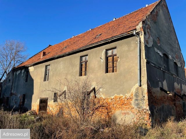 Hala/magazyn Lutomia Dolna. Zdjęcie 1