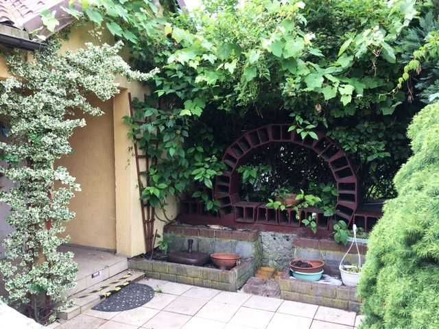 Działka rod Wrocław Stare Miasto, ul. Góralska. Zdjęcie 5